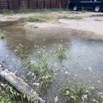 Thumbnail of post image 088