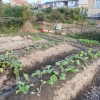 Thumbnail of related posts 136